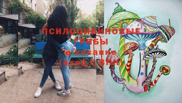 хмурый Верея